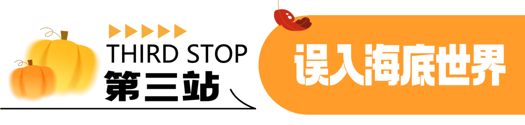 640 (7).png